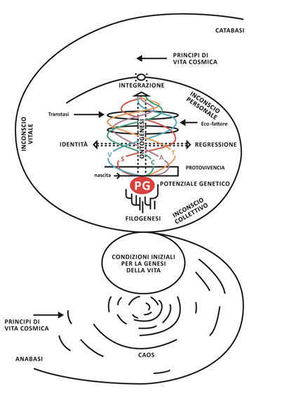 Schema del modello teorico della Biodanza secondo Rolando Toro Araneda